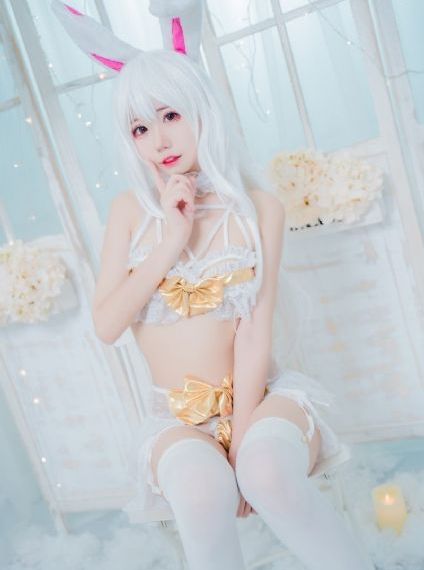 白狼
